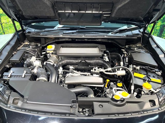 LEVORG LAYBACK