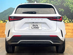 LEXUS NX350h