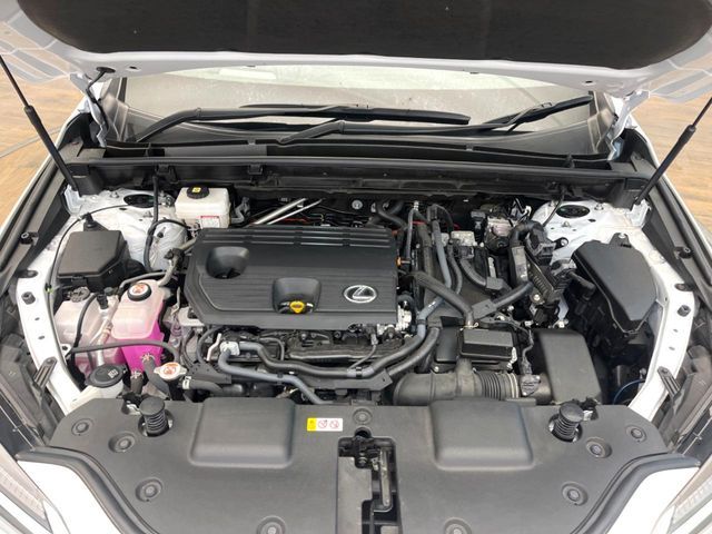 LEXUS NX350h