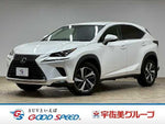 LEXUS NX300h