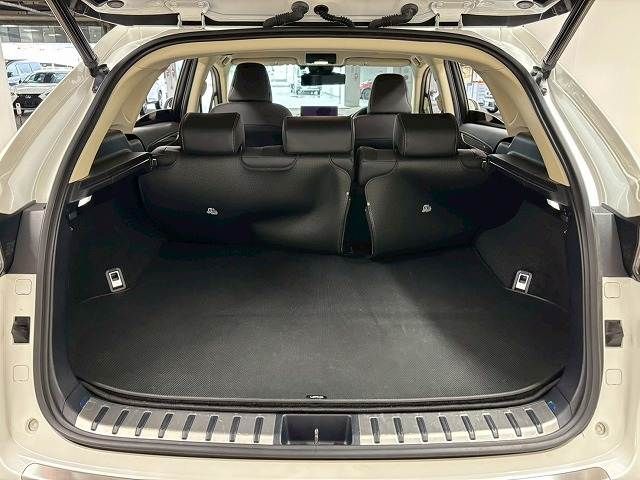 LEXUS NX300h