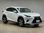 LEXUS NX300h