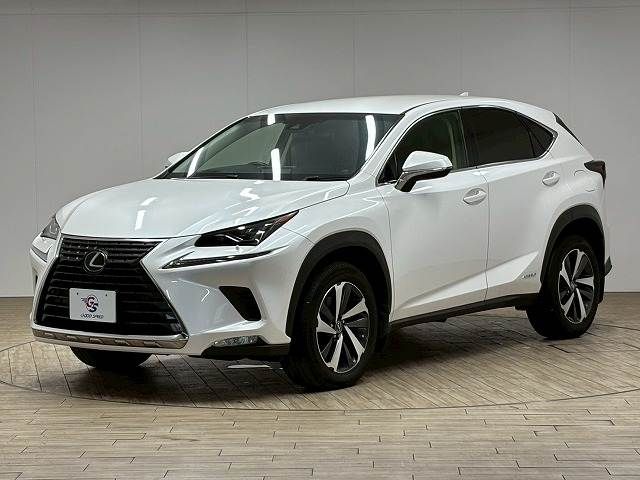 LEXUS NX300h