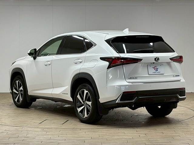LEXUS NX300h