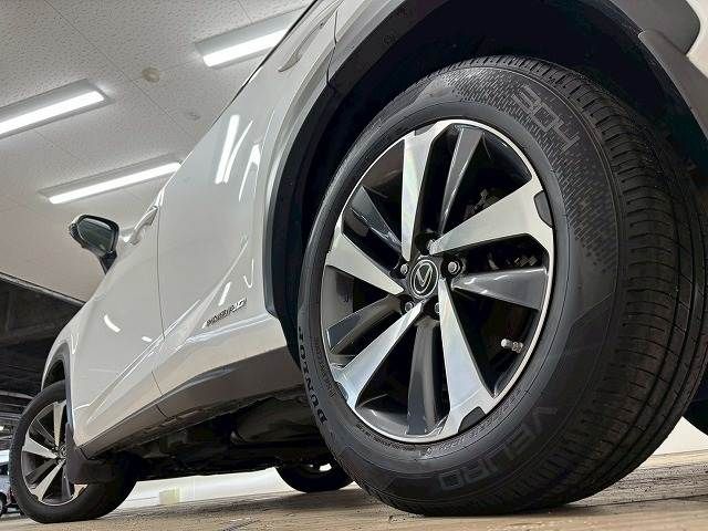 LEXUS NX300h