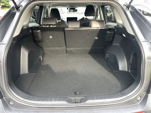 RAV4 HYBRID 4WD