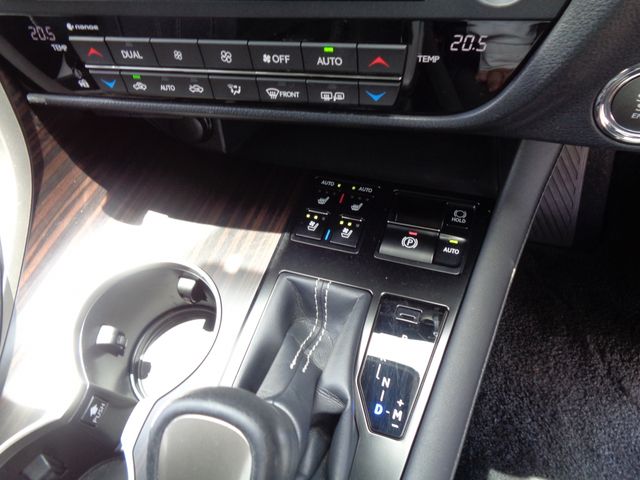LEXUS RX300