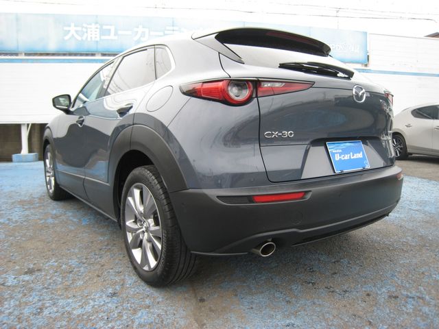 CX-30