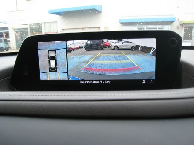 CX-30