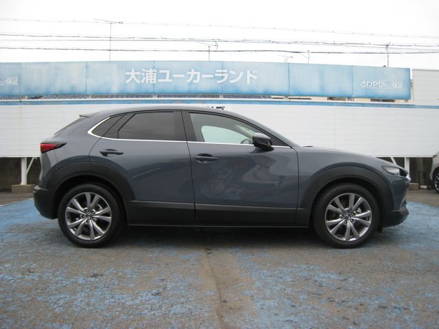 CX-30