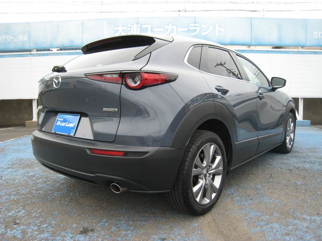 CX-30