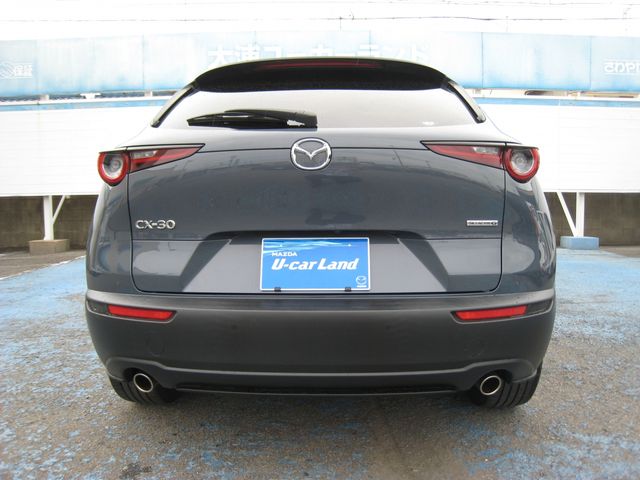 CX-30