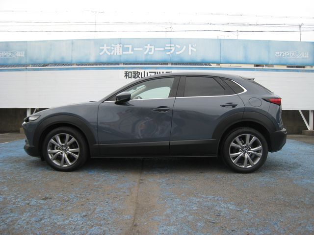 CX-30