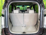 N-WGN