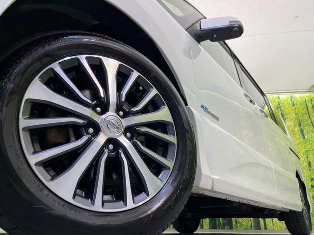 SERENA  S-HYBRID