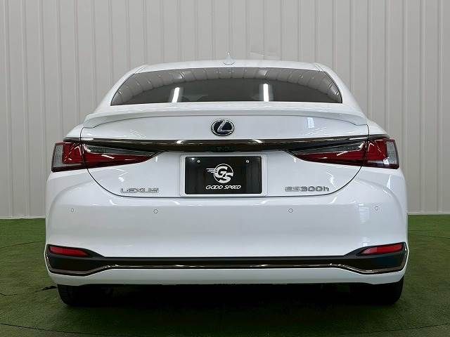 LEXUS ES300h