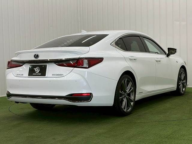 LEXUS ES300h