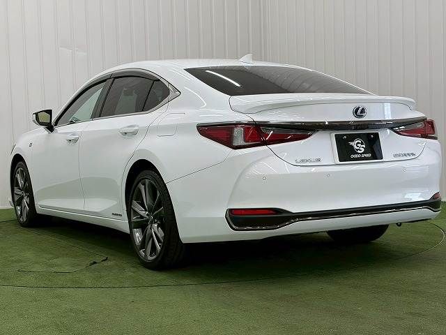 LEXUS ES300h
