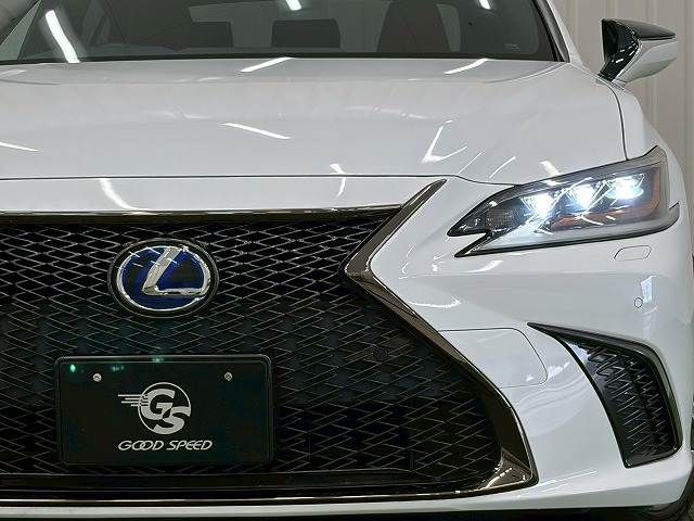 LEXUS ES300h