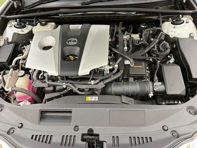LEXUS ES300h