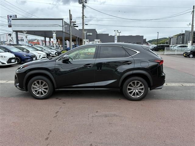 LEXUS NX300