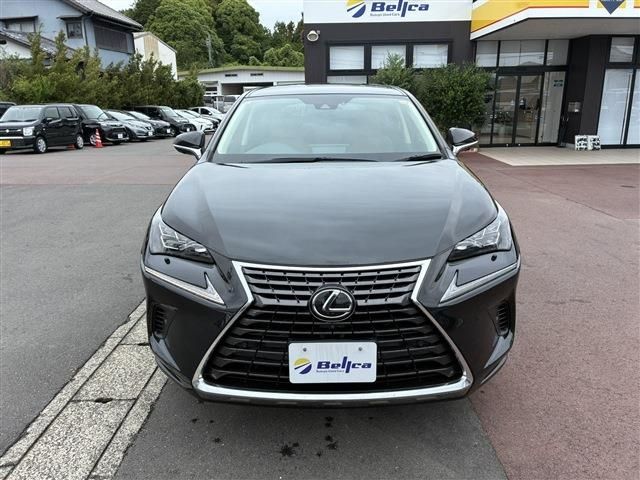 LEXUS NX300
