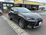 LEXUS NX300