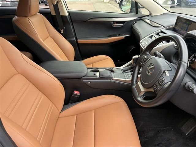LEXUS NX300