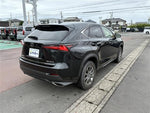 LEXUS NX300