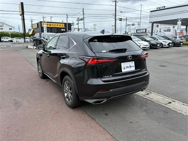 LEXUS NX300