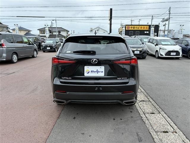 LEXUS NX300