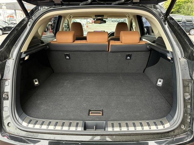 LEXUS NX300