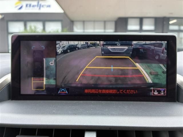 LEXUS NX300