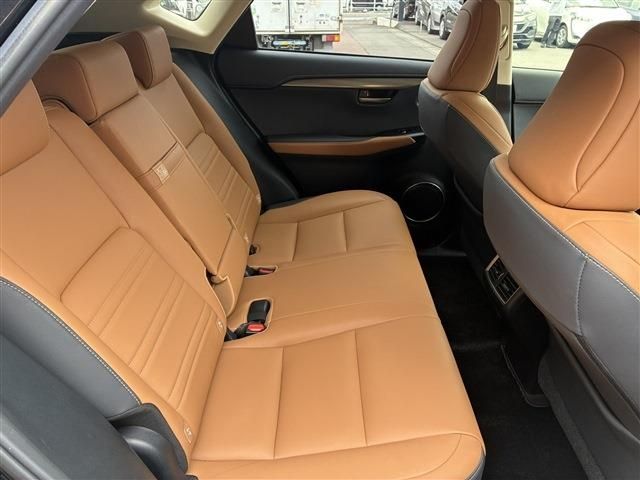 LEXUS NX300
