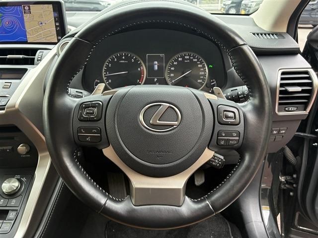 LEXUS NX300