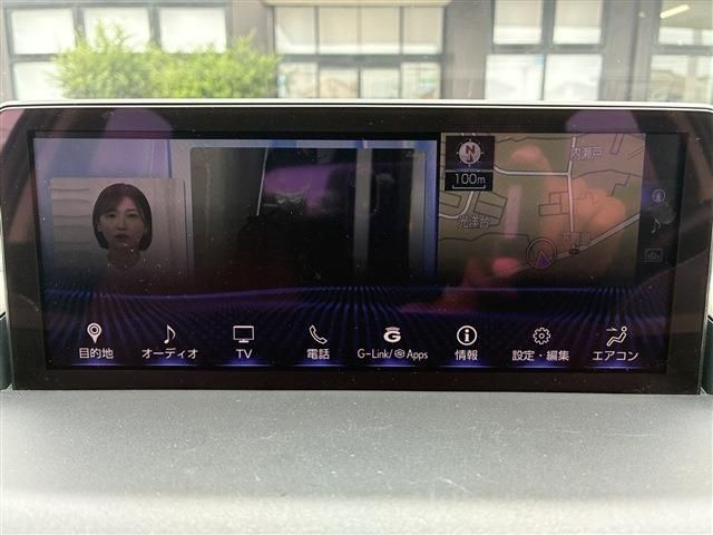 LEXUS NX300