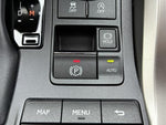 LEXUS NX300