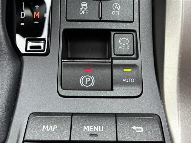 LEXUS NX300