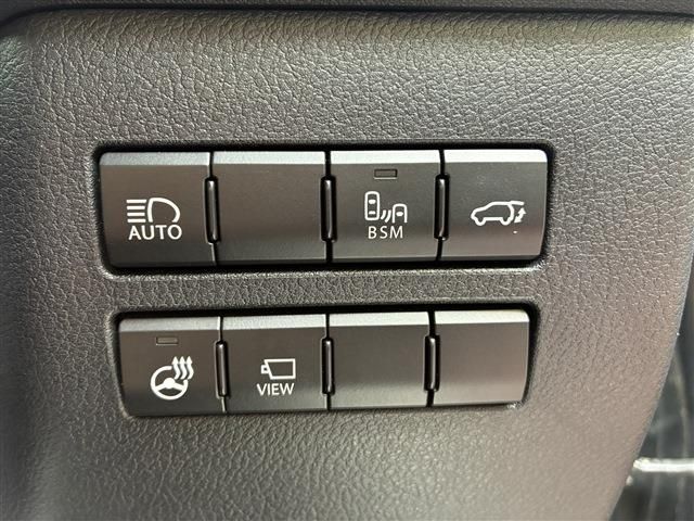 LEXUS NX300