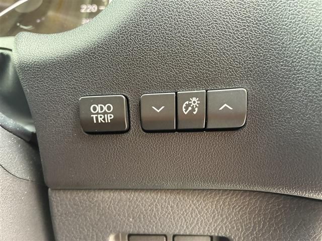 LEXUS NX300
