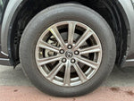 LEXUS NX300