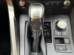 LEXUS NX300