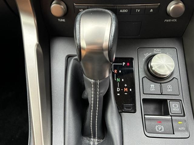 LEXUS NX300