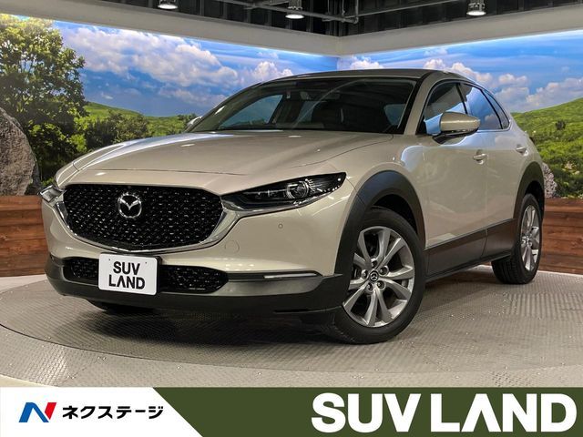CX-30