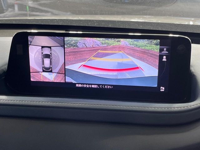 CX-30