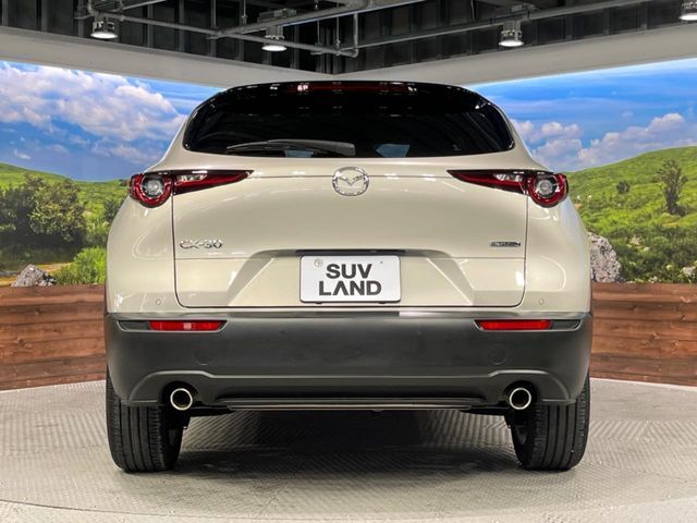 CX-30