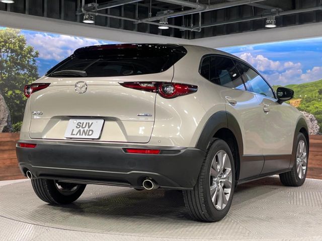 CX-30