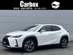 LEXUS UX300e