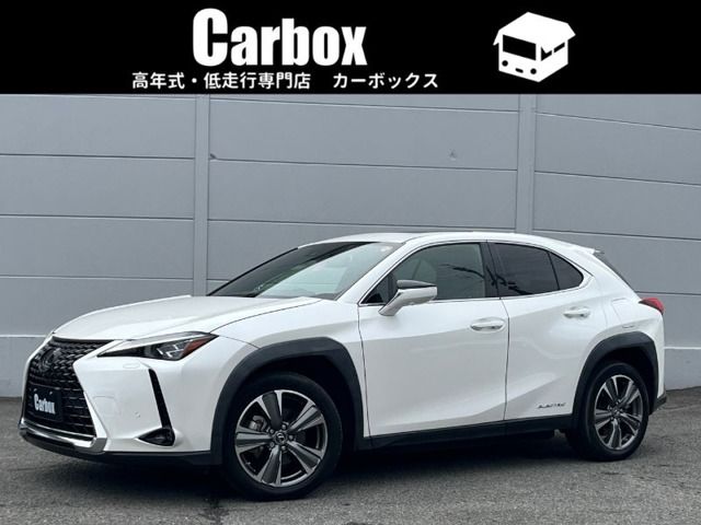 LEXUS UX300e