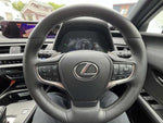LEXUS UX300e
